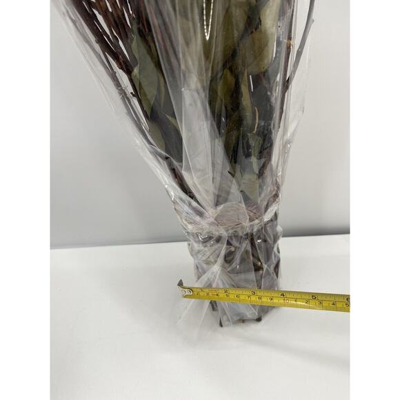 Natural Dried Flowers Long Stem Twigs Bouquet Roses Crafts Weddings Home Decor - Picture 9 of 12
